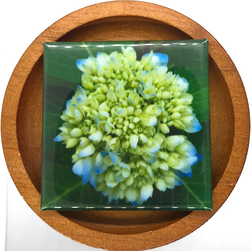 ✨3/$25✨ Hydrangea in Bloom Photo Magnet